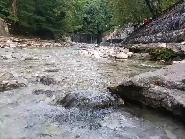 A video shows a flowing river in a forest. The camera is low to the ground, close to the water's surface. The riverbed is filled with rocks of various sizes, and the water is clear, with small rapids. Trees and foliage line both banks of the river, creating a lush, green environment. In the background, a small waterfall or dam is visible. There are hints of human presence, with a stone wall or embankment on the right bank, and the suggestion of people in the distance on that bank, but no specific individuals are clearly identifiable. The overall scene depicts a natural, serene outdoor environment.