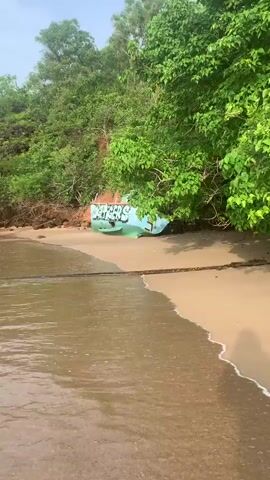 A grounded boat is partially submerged in shallow water near a sandy beach. The boat is painted light blue and has the word "TIGERS" spray-painted on its side in white with black outlines. Green paint is also visible on the lower portion of the boat. Lush green trees and vegetation cover a steep, reddish-brown embankment behind the beach. The water appears murky and brown, with small waves lapping at the shore. A thin rope or cable runs horizontally across the foreground, partially submerged in the water.
