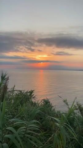 The video shows a sunset over the ocean. The sun is partially obscured by clouds, casting a warm orange glow on the water. Lush green foliage is in the foreground, framing the scenic view. The sky transitions from a pale yellow near the horizon to a soft gray at the top of the frame. The overall atmosphere is serene and tranquil.