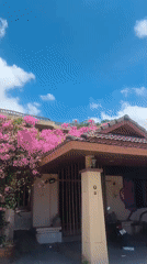 Decorated pickup truck spotted near flower-covered house in Thailand