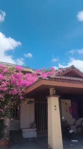 Decorated pickup truck spotted near flower-covered house in Thailand