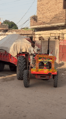 Pakistani street life: goats feeding, decorated tractor in residential areas