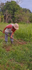Field work and rural roads in Vallecito, Venezuela
