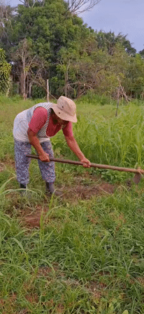 Field work and rural roads in Vallecito, Venezuela