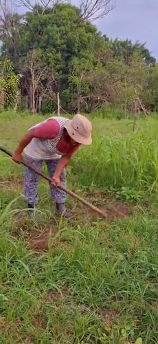 Field work and rural roads in Vallecito, Venezuela