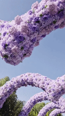 Floral arches and beach activity on a summer morning in Qinhuangdao