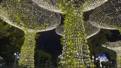 Tashkent streets lit up with decorative displays and themed installations