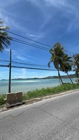 The video pans across a coastal scene under a bright blue sky with scattered white clouds. Two palm trees stand tall on the left side of the frame, their fronds swaying. A body of turquoise water stretches out beyond them, meeting a distant shoreline with some buildings visible. A road runs along the foreground, with a white plastic barrier and some vegetation on the left side. On the right side of the road, there are some red plastic barriers. A white pickup truck drives past in the middle of the video. Overhead, multiple power lines are strung between poles, crossing the sky. The overall impression is a tropical, roadside view of the ocean on a sunny day.