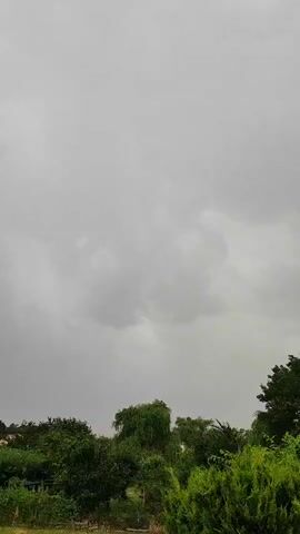 The video captures a static view of an overcast sky with lush green trees and foliage in the foreground. The sky is dominated by gray clouds, suggesting gloomy or rainy weather. The trees are full and vibrant, with various shades of green indicating a healthy natural environment. Among the trees, a tall, weeping willow stands out with its distinctive drooping branches. In the far background, hints of buildings and structures can be seen, suggesting a semi-rural or suburban setting. The overall mood is serene and natural, with the overcast sky adding a touch of somberness. There are no people or discernible objects other than the natural elements and distant structures. The time of day is unclear due to the lack of direct sunlight, but the subdued lighting points towards either early morning, late afternoon, or a heavily clouded day. No text is visible in the video. The location context is Agronom, Russia.