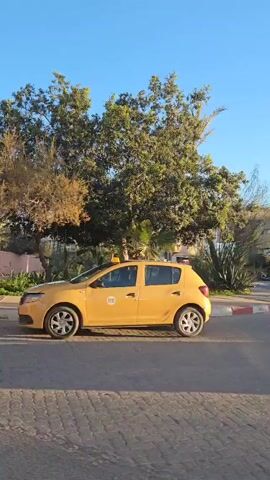 The video shows a street in what appears to be a sunny, tropical location. The opening shot features a yellow taxi parked next to a curb, with a man walking nearby. The camera then pans to show palm trees and other vegetation. A black car drives past, reflecting the palm trees in its windows. The video ends with a shot of a silver hatchback driving past a wall, with a tower visible in the background.