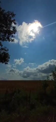 The media file shows a view of a rural landscape. The sun is shining brightly, partially obscured by clouds. The sky is a clear blue. In the foreground, there are dark silhouettes of trees and bushes. Beyond the foliage, a field of golden-brown vegetation, possibly crops, stretches across the horizon. The light suggests it is daytime, likely midday or early afternoon. There are no people or man-made objects clearly visible. The overall scene evokes a sense of natural beauty and tranquility. The location context provided is Kichevo, Bulgaria, which aligns with a rural European setting. There is no visible text in the media file.