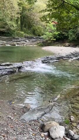 A natural landscape shot of a shallow river flowing over rocks with lush green trees on either side. The water is clear and shows the riverbed beneath it, with small rapids forming where the water cascades over a rocky ledge. The surrounding vegetation is dense and vibrant, suggesting a temperate climate. The light is diffused, indicating it may be a cloudy day or the sun is not directly overhead. There are no people or man-made objects visible in the immediate vicinity, creating a serene and untouched natural scene.