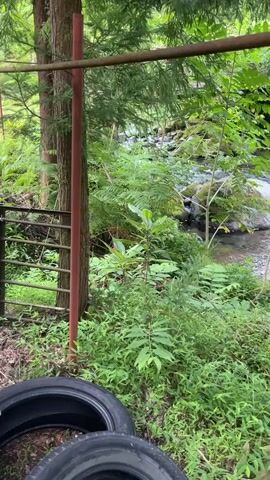 The video shows a natural outdoor environment with lush green foliage and a flowing stream in the background. In the foreground, two tires are visible, suggesting a potential recreational or abandoned area. A rusty metal pole and ladder-like structure stand to the left of the frame, possibly part of an old swing set or climbing apparatus. The stream is rocky with clear water, and trees and ferns surround the area, creating a serene and somewhat wild atmosphere. The overall impression is a quiet, natural setting with hints of past human activity.