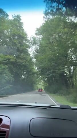 The video is filmed from the perspective of someone inside a car, looking out through the windshield. The car is on a paved road that curves to the left. The road is surrounded by dense green trees on both sides, creating a canopy effect overhead, with sunlight filtering through the leaves. A red car is visible ahead on the road, also driving forward. The sky is blue and visible through gaps in the trees.