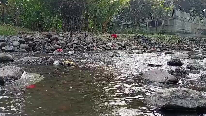 A video shows a polluted river with rocks and debris on its banks. The water is murky and contains scattered trash, including plastic bottles and bags. Trees and vegetation line the background, with a man-made structure partially visible in the distance. The camera pans across the scene, highlighting the environmental damage.