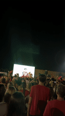 Night crowd waves red and yellow flags at outdoor event