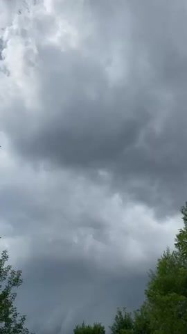 The video shows a gray, cloudy sky with trees in the foreground and background. The clouds appear to be moving and darkening, suggesting an approaching storm. The trees are green and leafy, indicating a temperate climate. The video is shot from a low angle, looking up at the sky. There are no people or objects visible in the video, other than the trees and the sky.