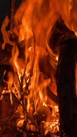 The video shows a bright orange campfire burning against a dark background. There are several logs and branches fueling the fire. The flames are tall and energetic. A few voices can be heard in the background.