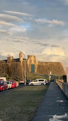 A flock of birds flies across a cloudy sky over a stone fortress. The fortress has a large blue door and a small turret. In front of the fortress, cars are parked along a street. A sidewalk runs alongside the fortress, and the sun is setting, casting a warm glow on the scene.