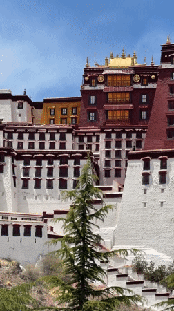 Morning views of Potala Palace captured by witnesses