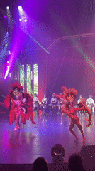 Live circus performance in Kathu — acrobatics, wire acts, feathered dancers