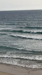 Stand-up paddleboarder spotted in ocean near Bat Yam, Israel