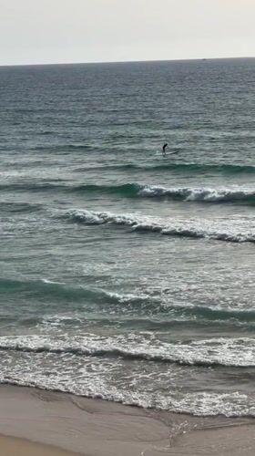 Stand-up paddleboarder spotted in ocean near Bat Yam, Israel