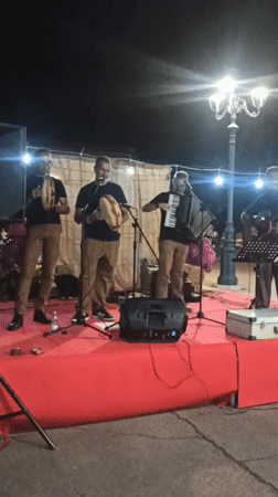 Live music, wine, and dancing at a Bitonto evening festival