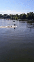 Water skiing and rail bridges on a calm Dolgoprudny summer day