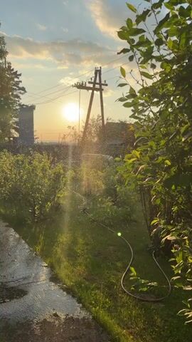 The video shows a garden with a sprinkler watering the grass and plants. The sun is setting in the background, casting a warm glow on the scene. Trees and bushes surround the garden, and there are power lines and a utility pole visible in the distance. The overall atmosphere is peaceful and serene, with the gentle sound of the sprinkler adding to the tranquility.