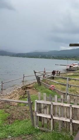The video shows a body of water, likely a lake, with a shoreline in the foreground. The water is a muted gray, reflecting the overcast sky. Rolling hills covered in greenery form the backdrop, with a hazy atmosphere suggesting it might be a cooler day. A rustic wooden fence runs along the edge of the land, separating the grassy area from the muddy shoreline and the water. Some debris, including what appears to be a life preserver and a dark-colored animal (possibly a horse or a pony), are visible near the fence. The overall scene evokes a sense of quiet solitude and a natural, somewhat untamed environment. The weather appears cloudy, potentially hinting at impending rain or a recent shower, contributing to the muted colors and subdued atmosphere. The lack of people and the unkempt nature of the fence suggest a rural or less-developed location. The location is identified as Tsigov Chark, Bulgaria.