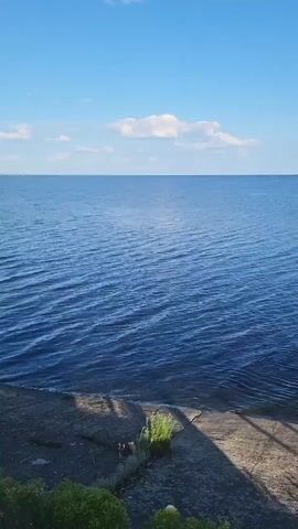The video begins by showing a calm, blue body of water with gentle waves. The sky above is clear with a few scattered white clouds. In the foreground, there is a concrete embankment with some dry grass growing from cracks. The camera pans slowly to the right, revealing a distant city skyline on the horizon across the water. Lush green bushes are visible along the bottom edge of the frame as the camera continues to pan. The overall impression is of a serene waterscape with a hint of urban presence in the distance.