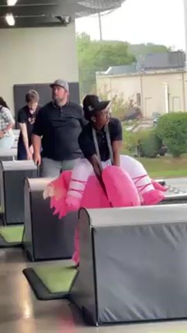 A person wearing an inflatable flamingo costume is playing golf at a Topgolf facility. They are straddling the costume and swinging a golf club. Two other men stand nearby, watching. The environment is an outdoor golf driving range.