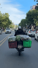 Produce-laden motorcycle making a delivery run in Đà Lạt