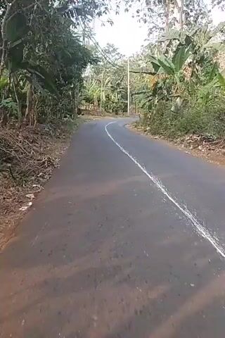 The video shows a person riding a motorcycle down a paved road surrounded by lush green foliage. The road curves gently to the right, with a white line painted down the center. The vegetation consists of trees, bushes, and banana plants. The sky is visible at the top of the frame, suggesting it is daytime. The rider is wearing a helmet and appears to be alone. The road surface is worn in places, indicating it is a rural or less-trafficked area. The overall impression is one of a peaceful journey through a natural landscape.