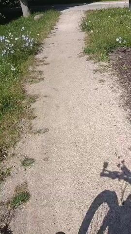 The video shows a first-person perspective of someone riding a bicycle on a dirt path. The path is surrounded by grass and some small flowers. The rider’s shadow is visible on the path, along with the shadow of the bicycle’s handlebars and front wheel. The rider is wearing gloves. In the background, there is some greenery and what appears to be a building or fence. The sun is shining, casting distinct shadows. The video captures the movement of the bicycle as it travels along the path.