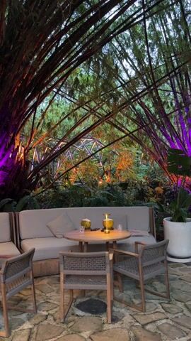 The video shows an outdoor seating area designed to create a cozy and exotic ambiance, likely at dusk or night. The prominent feature is an archway or canopy formed by tall bamboo trees, which are dramatically lit with vibrant purple and orange lights, casting colorful glows on the foliage. In the background, there are more trees and what appears to be an illuminated geometric structure or art installation.

In the foreground, there is a comfortable seating arrangement. A light-colored outdoor sofa with several cushions sits behind a round wooden table. Two wooden chairs with woven rope details on their backs and seats are placed opposite the sofa around the table. On the table, there are two fresh coconuts, each with a straw, and two clear glasses. A small, modern, portable lamp with a warm glow is also placed on the table, illuminating the immediate area. The ground beneath the seating area is paved with irregularly shaped light-colored stones. The overall atmosphere is serene, tropical, and inviting, suggesting a relaxing evening setting.