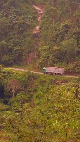 The video captures a natural, rural landscape in Nậm Dịch Commune, Vietnam. It opens with a green truck, featuring a brown cargo bed, driving on a winding paved road that cuts through a heavily forested, mountainous area. The surrounding hills are densely covered in lush green trees and various types of vegetation.

As the camera pans downwards, it reveals more of the steep terrain, showing the road continuing to snake through the greenery. A small, simple shelter with a light-colored roof is visible beside the road, nestled amidst the trees. The camera then continues its downward pan, moving away from the road and truck, to focus on the lower part of the landscape.

The final frames show a muddy, reddish-brown stream or ditch, flowing through a grassy, overgrown area. The banks of the stream are lined with more dense green foliage and small plants. The scene is illuminated by natural daylight. No specific weather conditions are evident beyond the muddy water, which could suggest recent rain or naturally damp conditions. There is no visible text throughout the video.