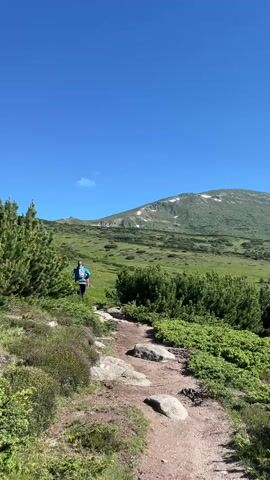 A person walks along a dirt path winding through a mountainous landscape. The path is bordered by green bushes and scattered rocks. The person is wearing a blue top and dark pants and appears to be carrying a backpack. In the background, rolling green hills rise towards a mountain peak with patches of snow. The sky is clear and blue.