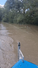 Boating down a murky river near Bliznatsi, Bulgaria