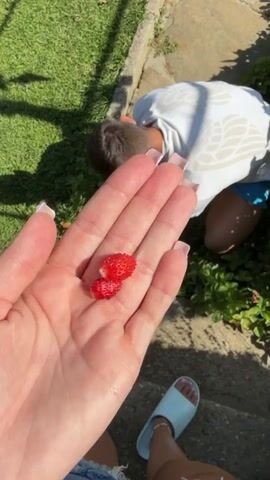 A hand holds two small, red strawberries. In the background, a person wearing a white t-shirt and blue shorts kneels down amongst green plants. The person then stands up and walks away on a stone path in a garden.