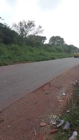 The video shows a yellow dump truck driving on a paved road. The truck is moving from right to left in the frame. The road has some cracks. The sides of the road are lined with green vegetation, including grass and trees. Litter is visible on the side of the road. The sky is overcast. The truck appears to be moderately full.