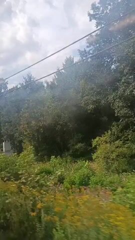 The video is a landscape shot from a moving vehicle, likely a train, showing a natural environment with trees and grass. There are some man-made structures visible, including a chimney, a power pole with wires, and a building that appears to be a small house or shed. The sky is cloudy.