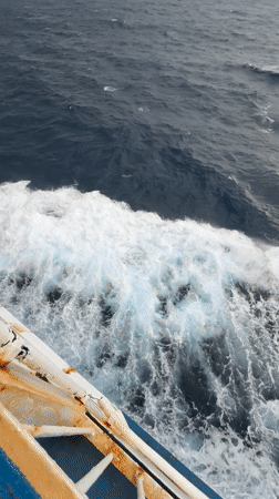 Malta religious site tour documented by travelers via ferry