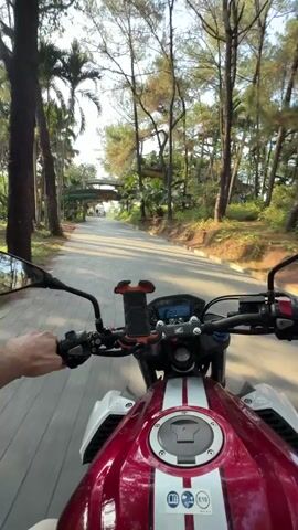 A first-person perspective shot shows a person riding a red and white Honda motorcycle on a paved road. The rider's hands are visible on the handlebars. A cell phone holder is mounted on the handlebars, but no phone is in it. The road is lined with palm trees, pine trees, and other greenery. Above the road is a section of a yellow water slide, part of a water park. In the distance, other people can be seen walking along the road. The weather appears sunny and bright.