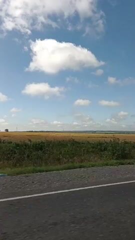 The video shows a view from a vehicle traveling along a paved road. The road has a white line marking the edge. To the right of the road, there is a green and brown grassy area with some small plants and weeds. Beyond this, there is a large field of golden crops, likely wheat or barley, stretching towards the horizon. In the distance, there are some trees and faint structures, possibly buildings or industrial elements. The sky is a clear blue with several fluffy white clouds scattered across it. The overall scene depicts a rural landscape on a sunny day, viewed from a moving vehicle.