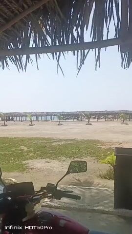 The video presents a view of a beach scene from under a thatched roof structure. The foreground shows green grass and the handlebars of a motorcycle. In the middle ground, there is a sandy area with several thatched umbrellas lined up along the beach. Small palm trees are planted near some of the umbrellas. Beyond the umbrellas is a view of the ocean under a clear, bright sky.