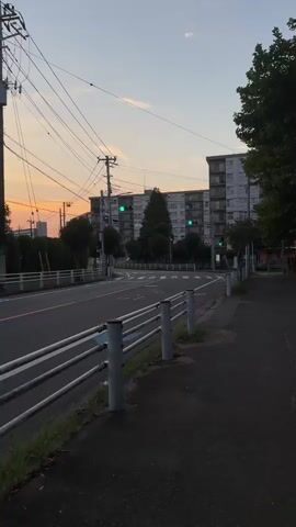 The video shows an empty street at dusk with apartment buildings in the background. The sky is a pale orange and blue, with a few wispy clouds. Traffic lights are visible and appear to be green. The road has painted lane markings and a crosswalk. A sidewalk runs alongside the road, separated by a metal guardrail. There are power lines and utility poles lining the street. Trees are scattered throughout the scene, with one tall evergreen tree in the middle ground. The overall impression is one of quiet and stillness.