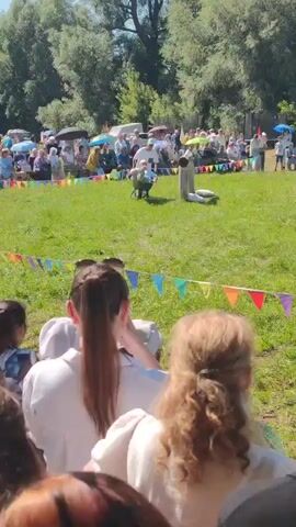 The video shows an outdoor event with a crowd gathered on a grassy field. In the foreground, the backs of several people are visible, suggesting they are spectators. In the mid-ground, a performance is taking place. Two individuals are actively participating, one appearing to push a wheelbarrow with another person seated inside it. They are moving across the grass, with a small inflatable pool visible to their right. In the background, more spectators are seated or standing, some under umbrellas. Trees and tents are also visible in the distance, indicating a park or festival setting. Colorful triangular flags are strung across the field, marking a boundary or decorative element. The overall scene suggests a playful or competitive activity during a sunny day.