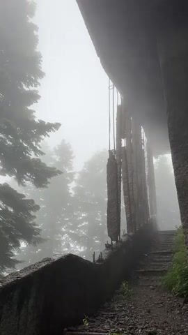 The video pans across a foggy forest scene. On the right side of the frame, a concrete structure with a stone-like facade extends upwards, with a set of stone stairs leading up into the fog. A row of hanging, cylindrical stone objects is suspended from above by cables. In the foreground on the left, a dark, rough stone wall or ledge is visible. Large evergreen trees with dark green needles emerge from the fog on the left side of the frame, with their branches extending into the misty environment. The overall atmosphere is damp and obscured by heavy fog.